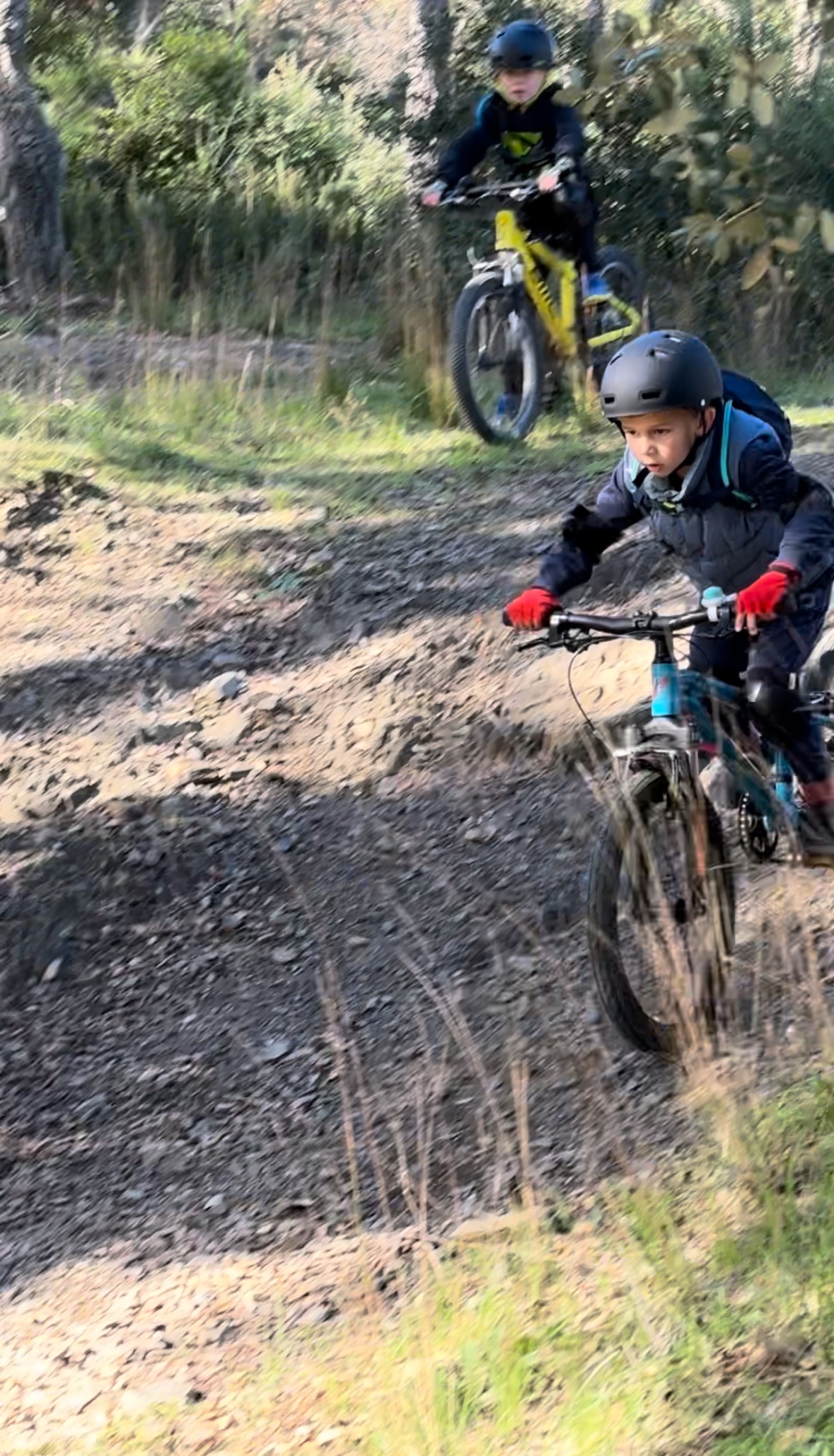 Enfant en VTT dans la forêt avec Wild Bike